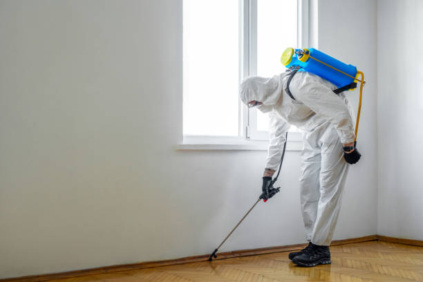 Best Commercial Pest Control  in Mpo, CA